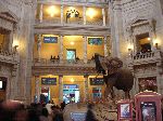 029_2009-0119-1116-50.jpg